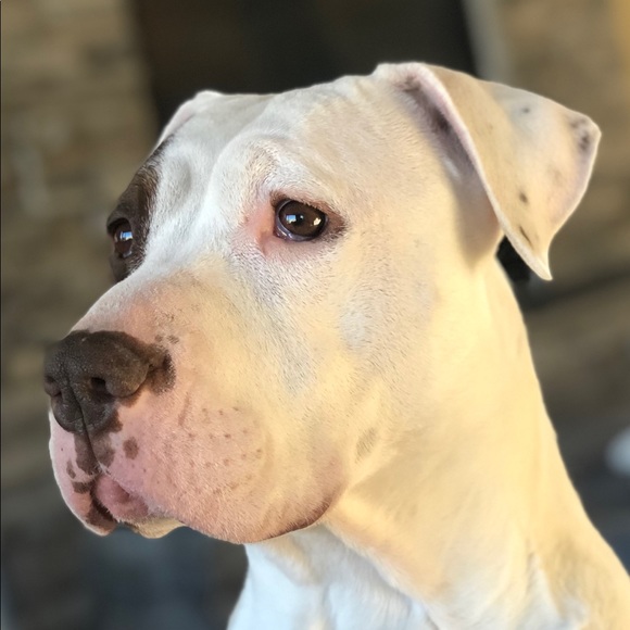 Meet your Posher, Laura 🐝 - Picture 8 of 13